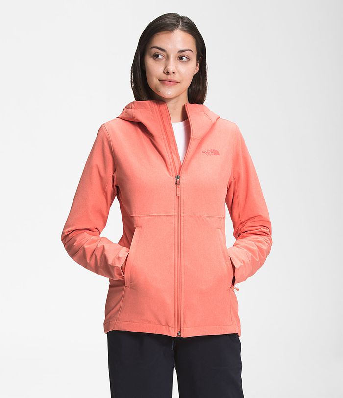 The North Face Softshell Jacket Shelbe Raschel Hoodie Orange - Womens - Thailand YPMIA-6570